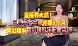 大瓜直播爆料视频,揭秘幕后真相，带你走进事件核心